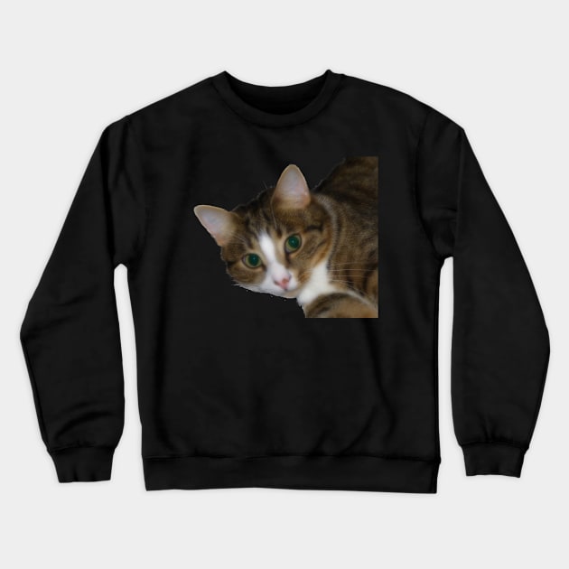 Soft Cat Crewneck Sweatshirt by Lynn